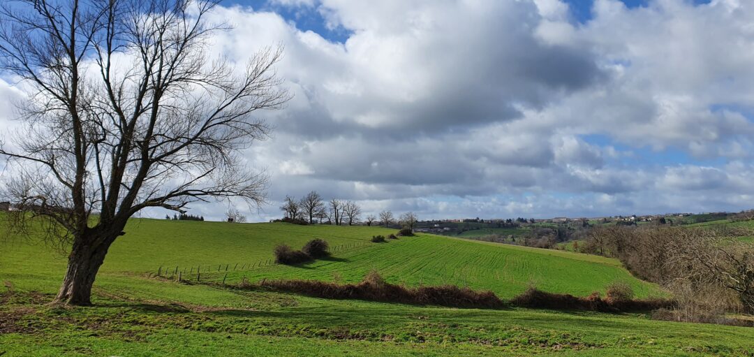 Campagne au printemps, ciel couvert.
