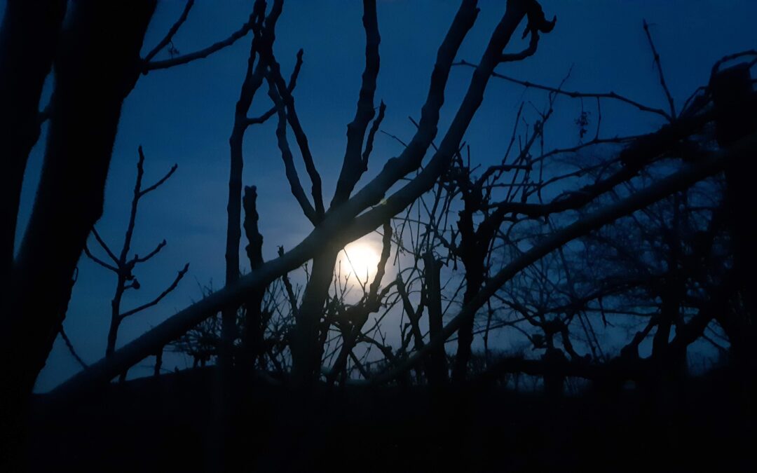 Earth Hour : une heure sans lumière pour soi et pour la planète