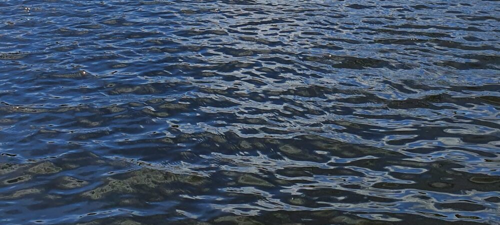 Vaguelettes sur une lac
