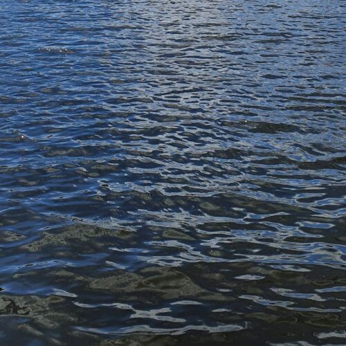 Vaguelettes sur une lac